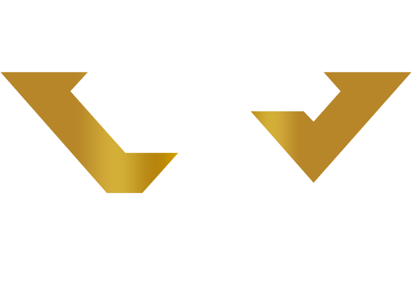 Success With Seo Meta Ads 13 shrey web logo png recolor