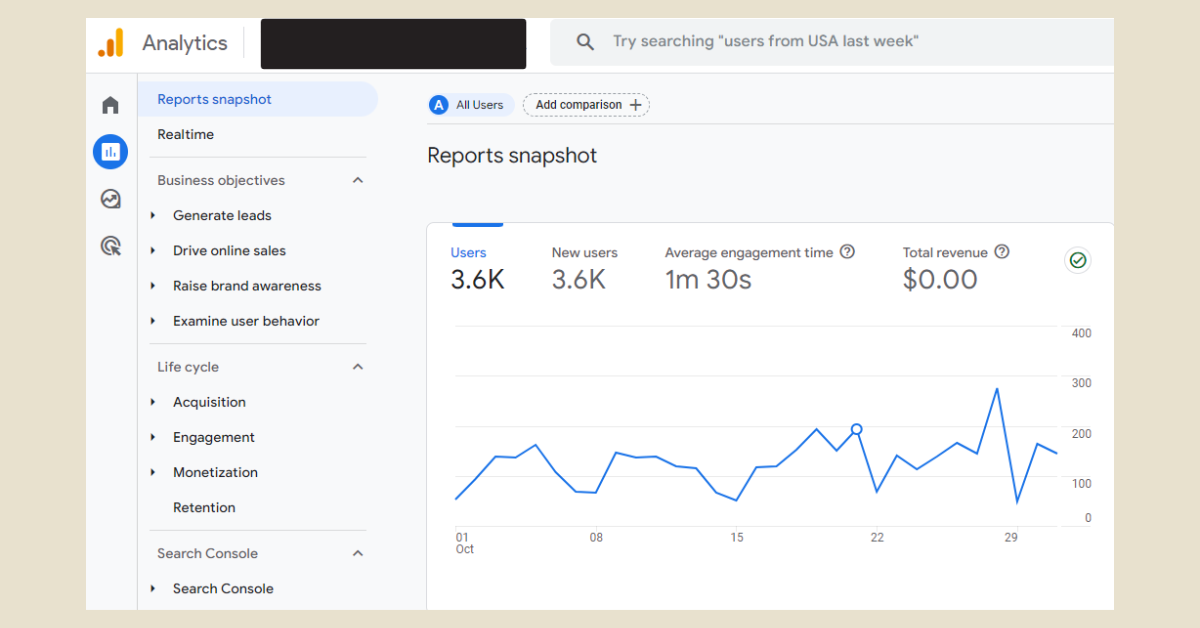 Google Analytics 2