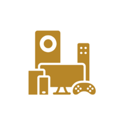 Consumer Electronics & Gadgets